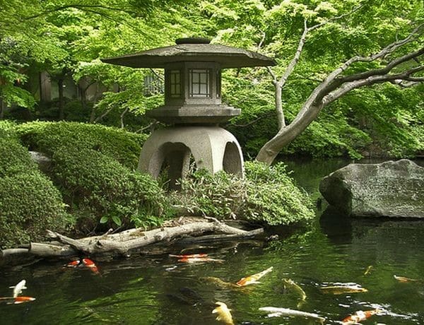 jardin japonais 17