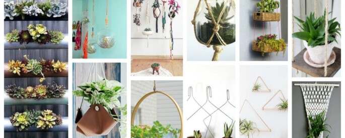 idees-plantes-suspendus-685x275 idees-plantes-suspendus-685x275
