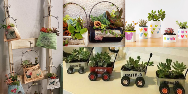 Idées originales de pots succulents réalisés avec des canettes pots succulents realises avec des canettes