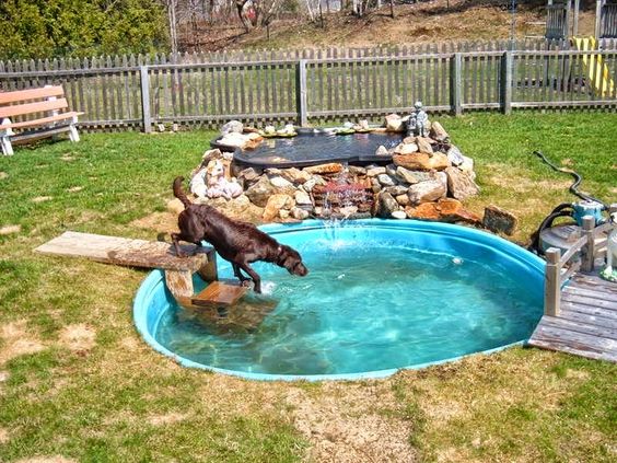 idees de piscine pour chiens 2