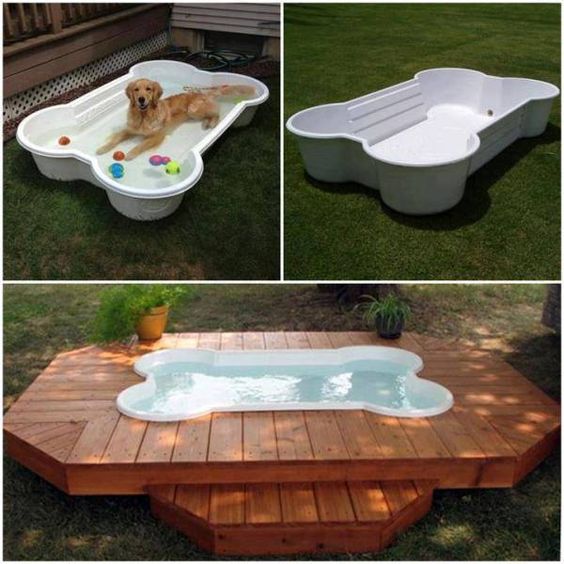 idees de piscine pour chiens 3