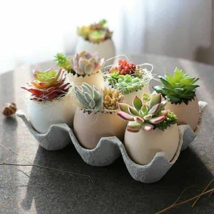 artisanat realise avec des coquilles doeufs pour decorer paques 2