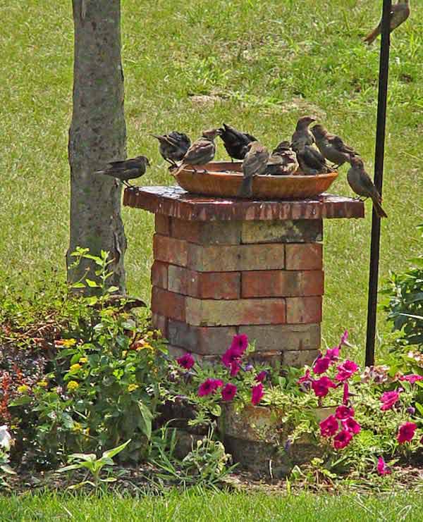 projets de jardin avec des briques 3