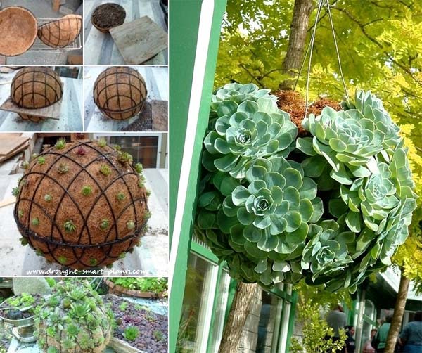 idees de jardinieres suspendues