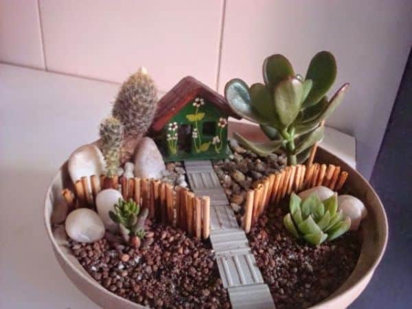 mini jardin artisanal de plantes succulentes et de cactus 2