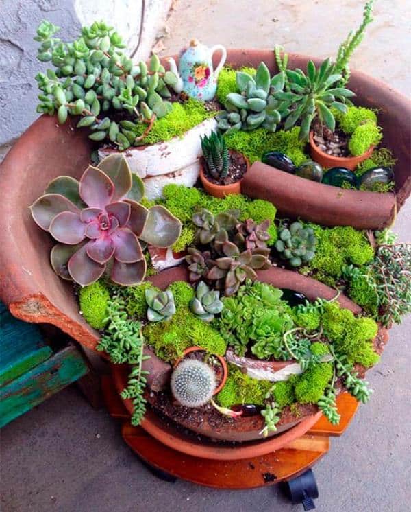 mini jardin artisanal de plantes succulentes et de cactus 5